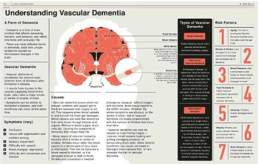 Understanding Vascular Dementia A Guide For Families