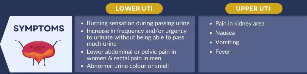 Preventing UTIs In Dementia Patients A Caregivers Guide Compassion