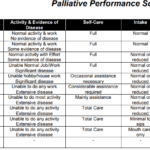 Palliative Performance Scale Ppsv2