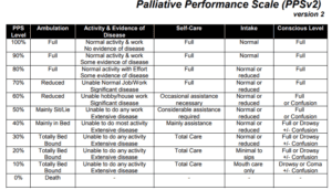 Palliative Performance Scale Ppsv2