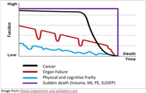 Illness Trajectories And Palliative Care