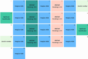 color coded hospice staff visit calendar