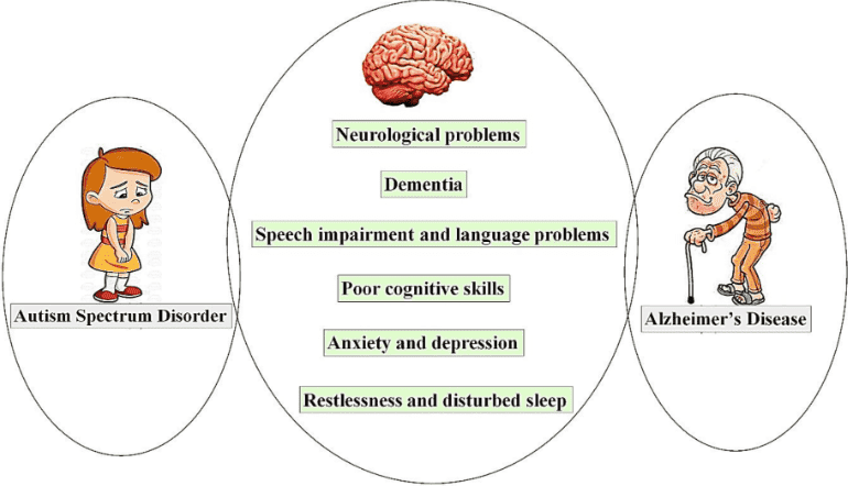 Similarities Between Autism Spectrum And Dementia