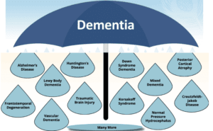 dementia umbrella showing many types of dementia