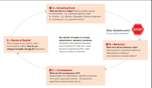 Flow Chart For Managing Hallucinations And Delusions