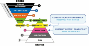 management of dysphagia food pyramid and dietary texture