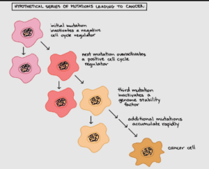 Cancer Metastasis