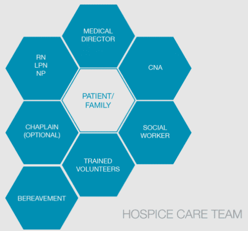 hospice care team infographic