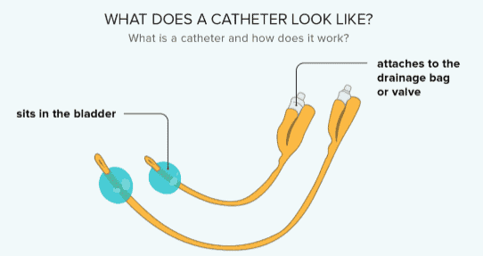 what does a foley catheter look like