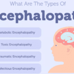 encephalopathy types