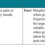 morphine_myths_vs_facts